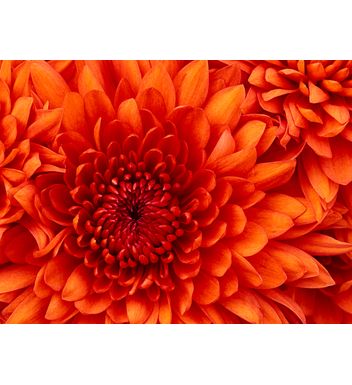 微信支付测试产品